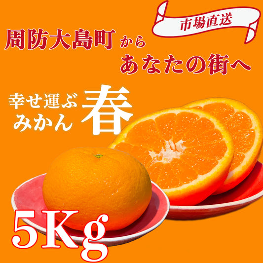 【ゆめほっぺ】みかんの島：瀬戸内のハワイ周防大島町から幸せ運ぶ春みかん5kg