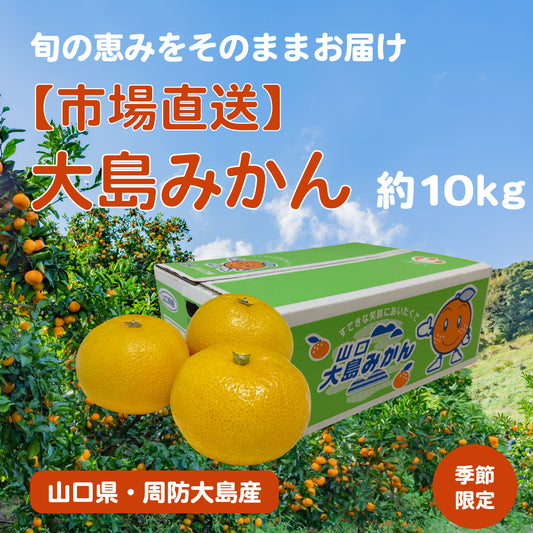 【約10kg】大島みかん – 山口県が誇る「みかんの島」の恵み【市場直送】