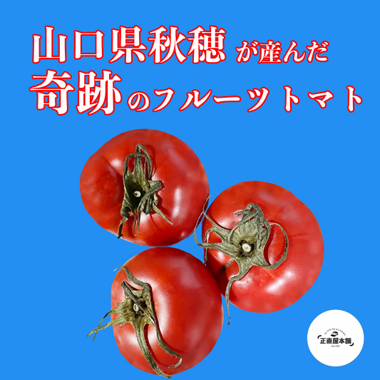 山口県秋穂が産んだ奇跡のフルーツトマト