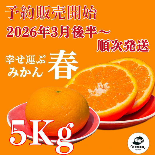 予約販売開始！【ゆめほっぺ】みかんの島：瀬戸内のハワイ周防大島町から幸せ運ぶ春みかん5kg