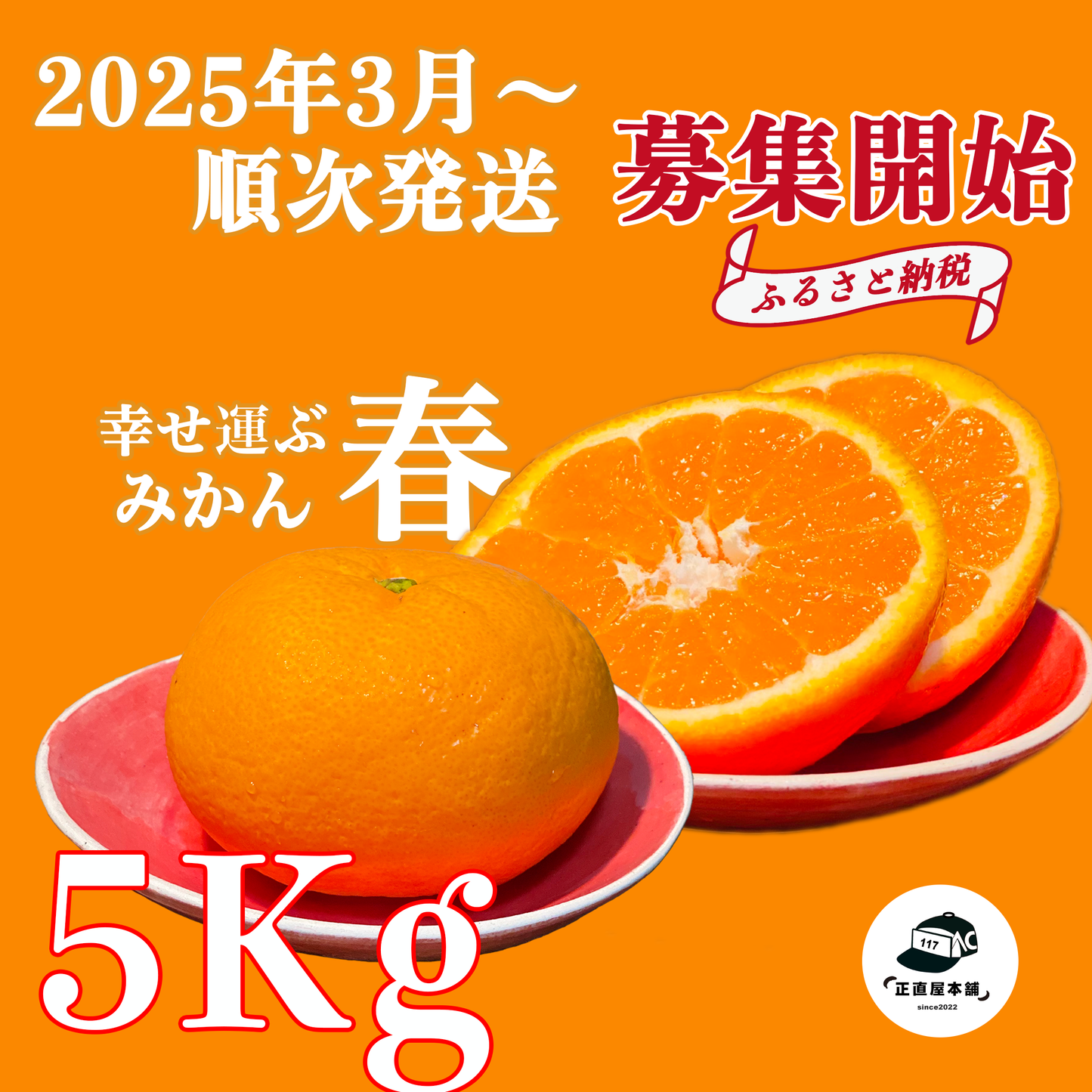 【ふるさと納税返礼品2025募集開始】みかんの島：瀬戸内のハワイ周防大島町から幸せ運ぶ春みかん【ゆめほっぺ】