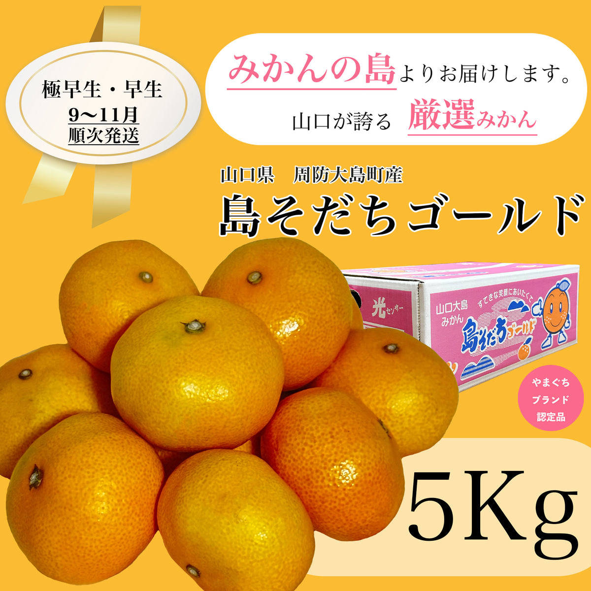 島そだちゴールド 極早生・早生 5kg