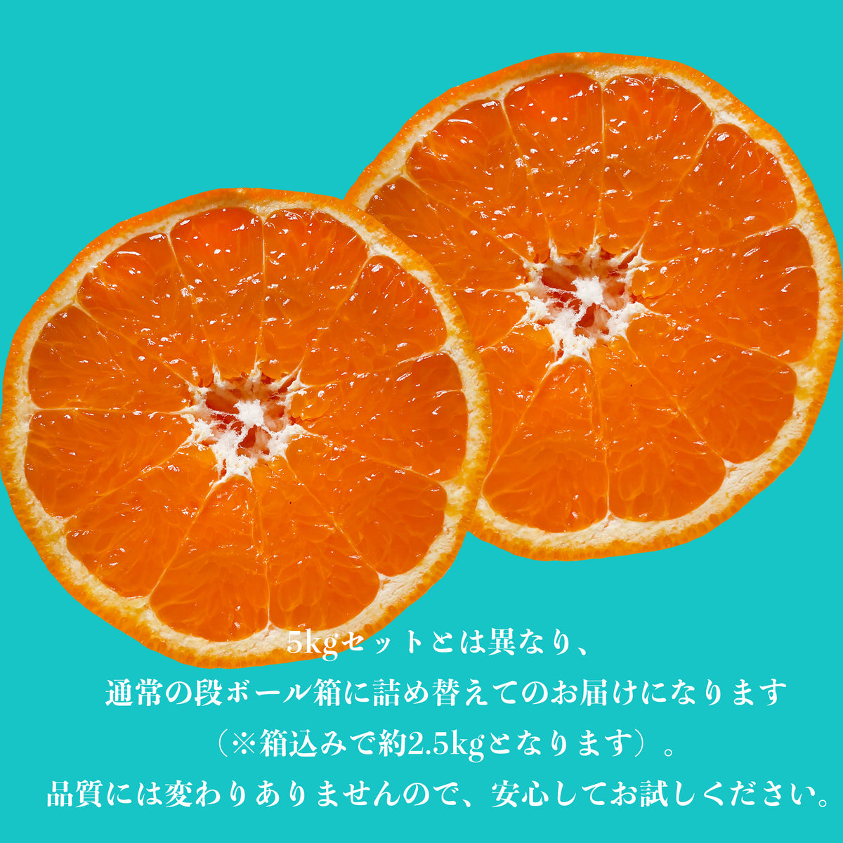 せとみ 2.5kg