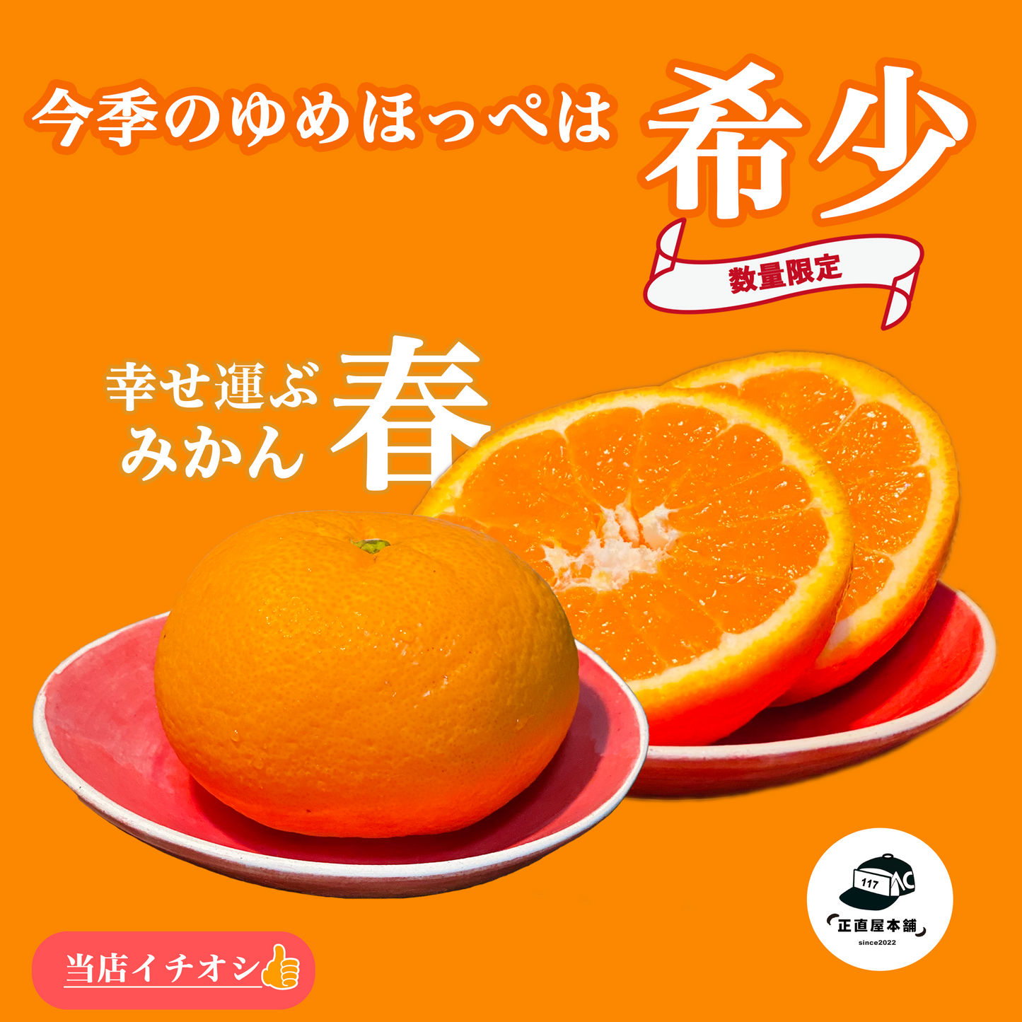 【ゆめほっぺ】みかんの島：瀬戸内のハワイ周防大島町から幸せ運ぶ春みかん