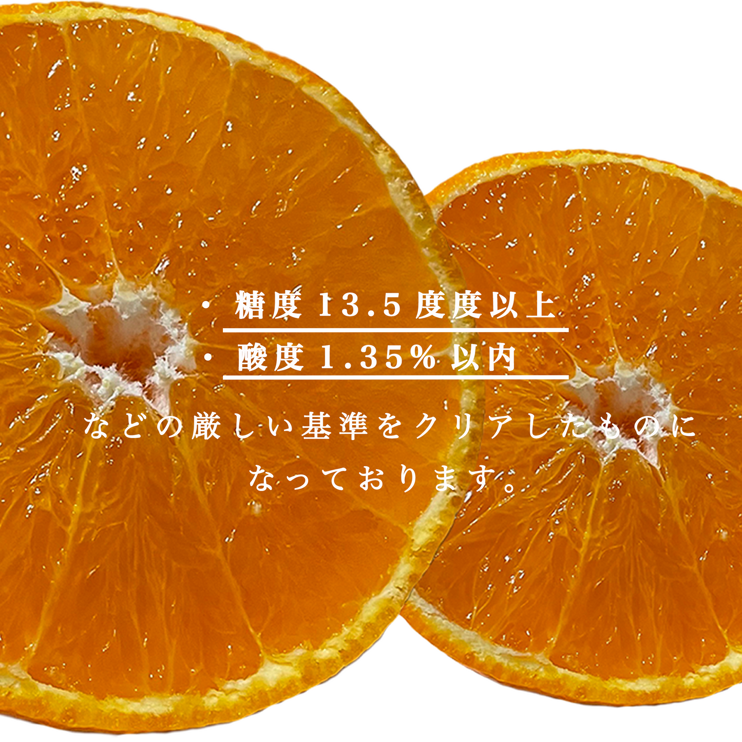 【ゆめほっぺ】みかんの島：瀬戸内のハワイ周防大島町から幸せ運ぶ春みかん